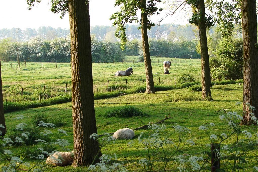 Do'S Chalets Baarland Eksteriør bilde